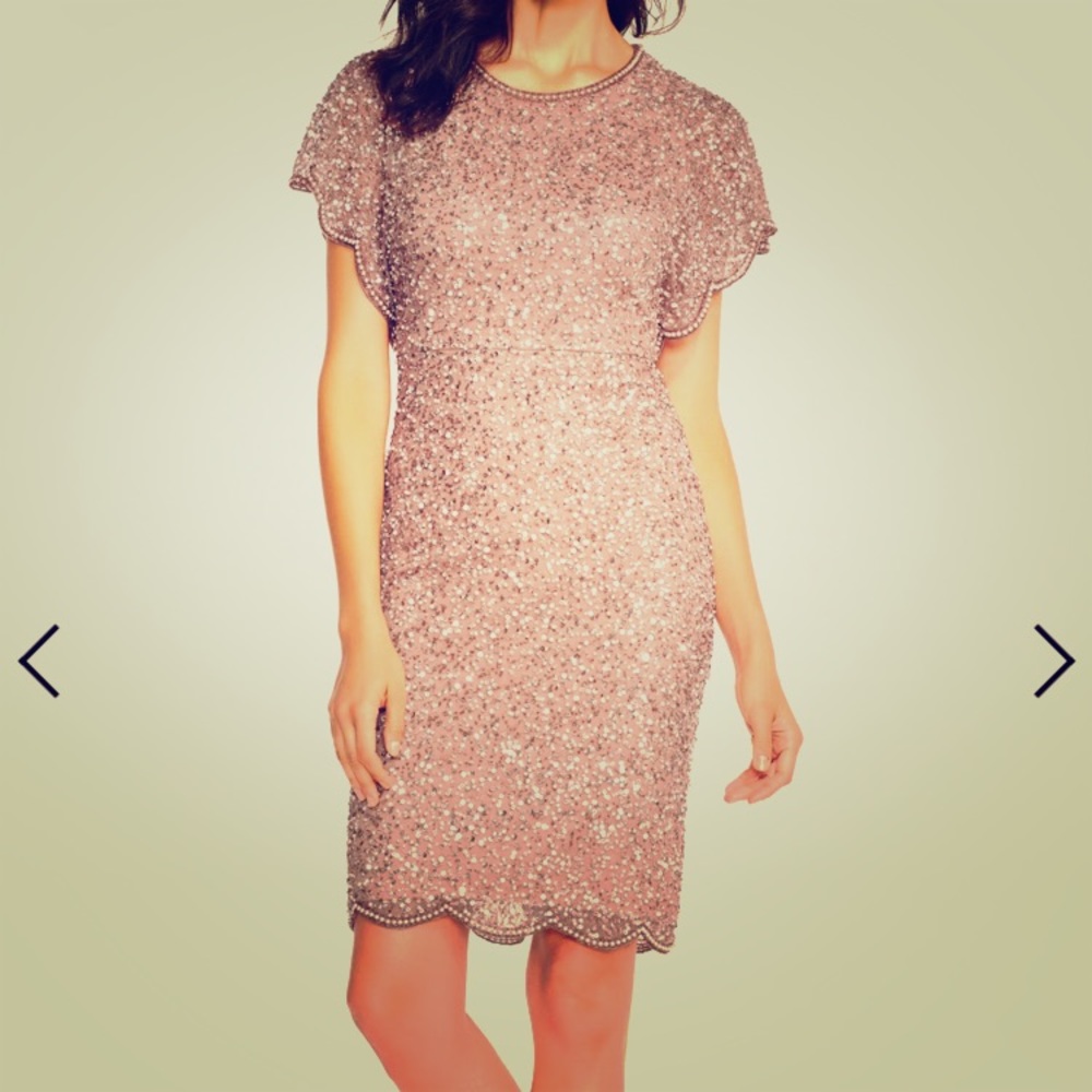 NWT Adrianna Papell beaded dress